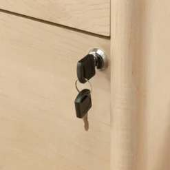 Whitaker Point 2 Drawer Lateral File Natural Maple - Sauder 8 Whitaker Point 2 Drawer Lateral File Natural Maple - Sauder -Chic Furniture Store GUEST 7ca39bdd 5db5 47c5 a56f e0ff3ff95f4f