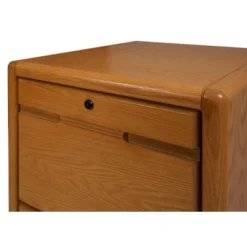 2 Drawer File Cabinet Brown - Martin Furniture -Chic Furniture Store GUEST ee12b5a0 816c 4e0a a552 659ee816ead8